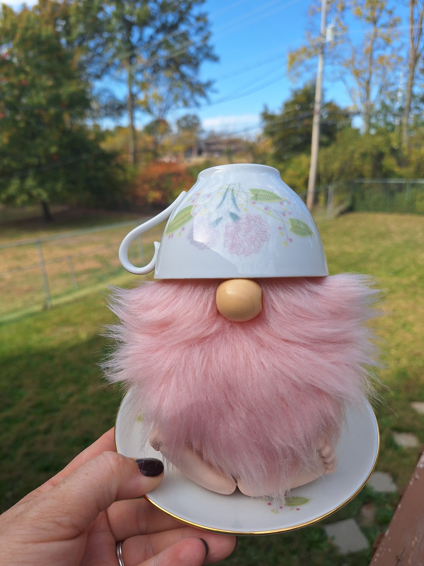 Teacup Gnome with a Pink Beard